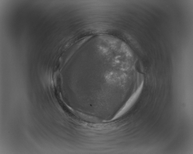 X0000067460026200604211552