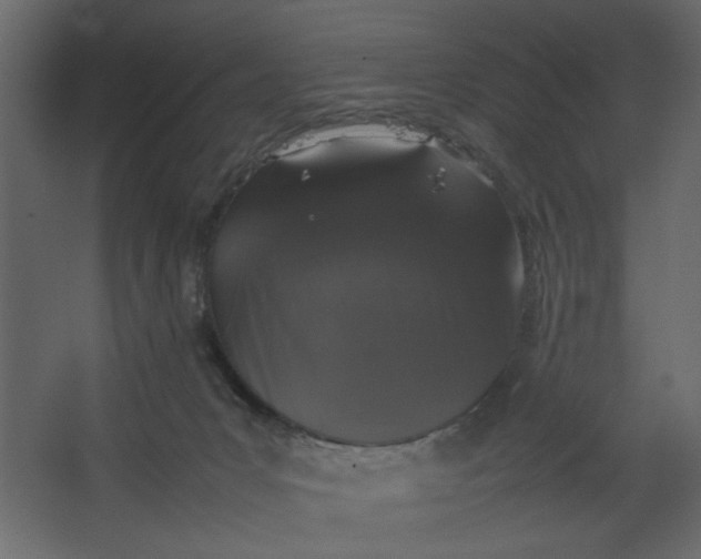 X0000067460031200604211552