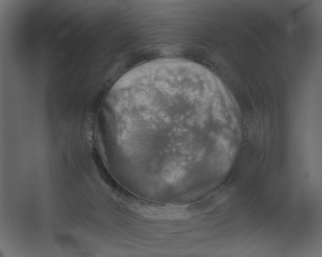 X0000067460032200604211552