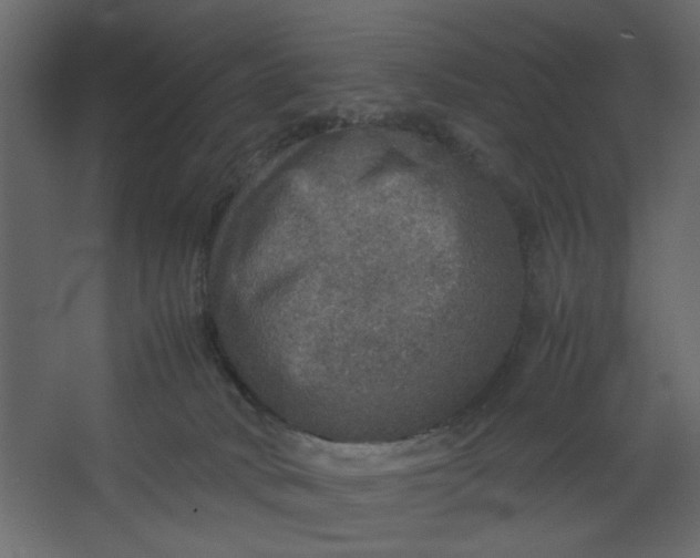 X0000067460034200604211552