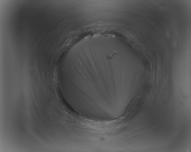 X0000067460035200604211552