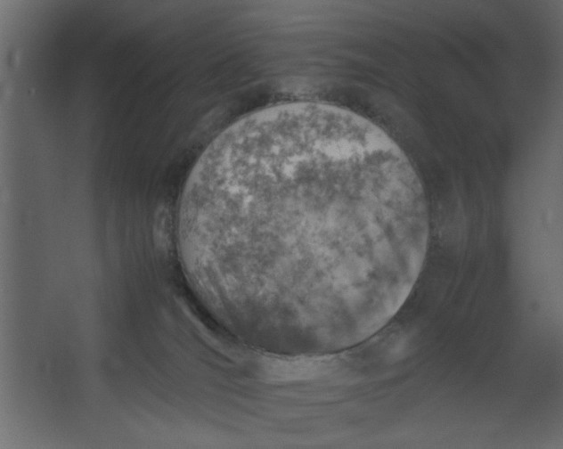 X0000067460036200604211552