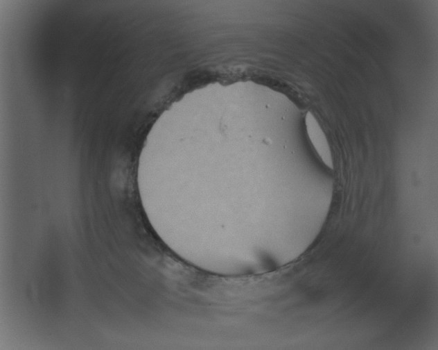 X0000067460037200604211552