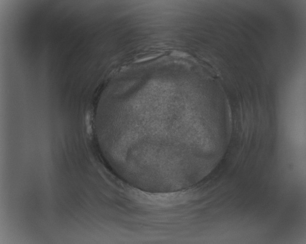 X0000067460038200604211552