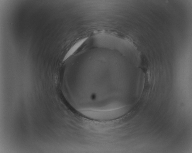 X0000067460039200604211552