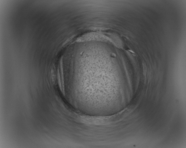 X0000067460040200604211552