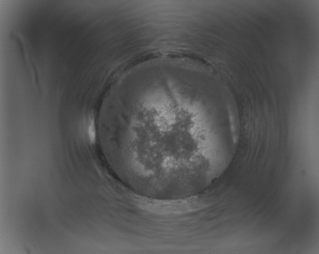 X0000067460042200604211552