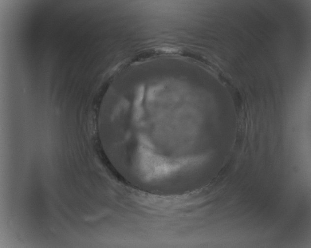 X0000067460043200604211552