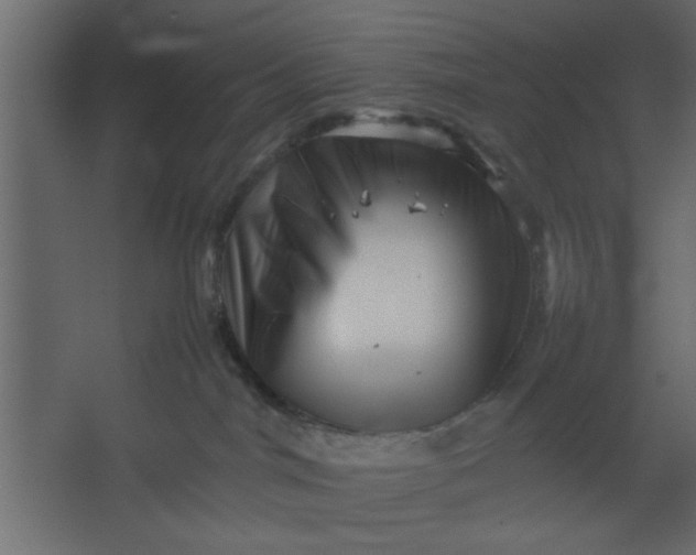 X0000067460044200604211552