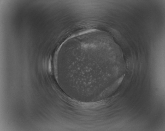 X0000067460046200604211552