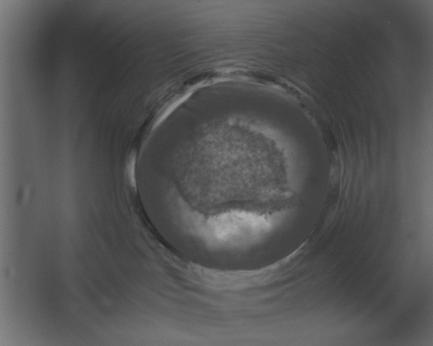 X0000067460047200604211552