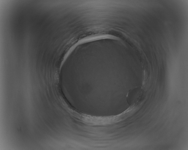 X0000067460048200604211552