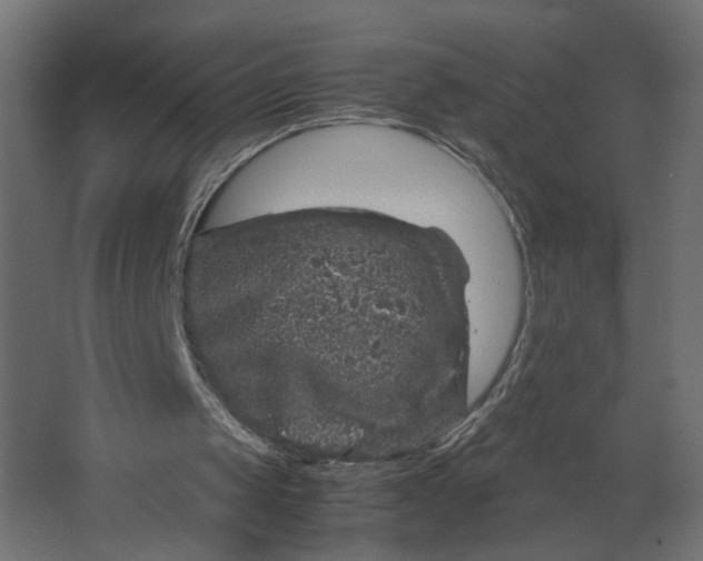 X0000067460049200604211551