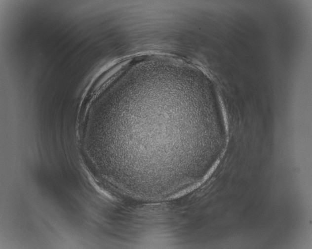 X0000067460050200604211551