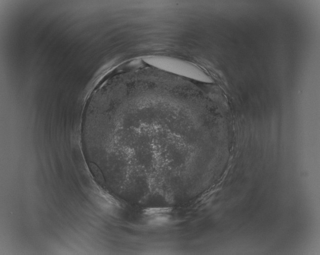 X0000067460051200604211551