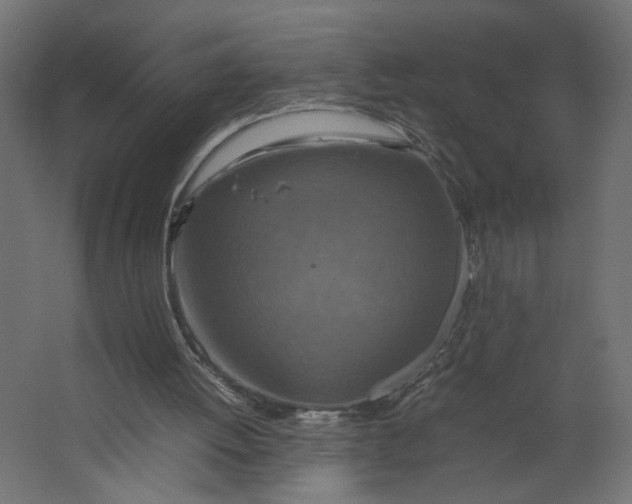 X0000067460052200604211551