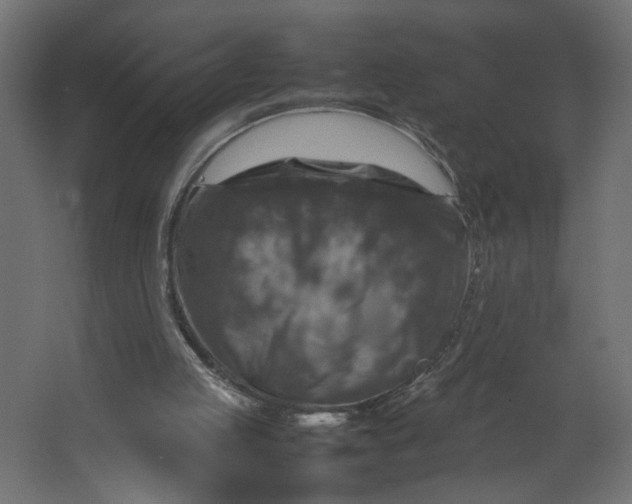 X0000067460053200604211551