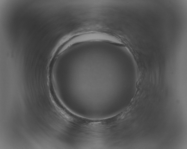 X0000067460054200604211551