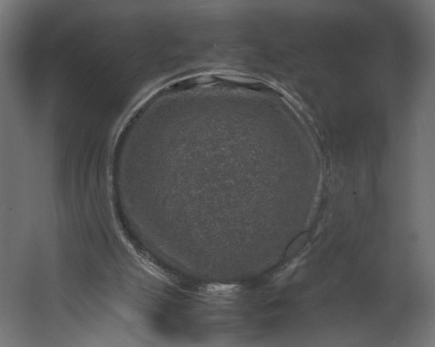 X0000067460055200604211551