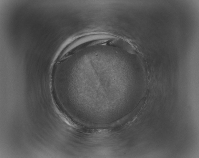 X0000067460056200604211551