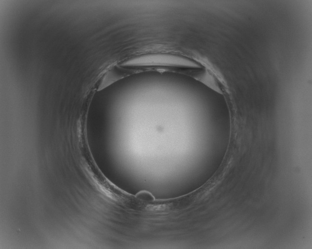 X0000067460057200604211551