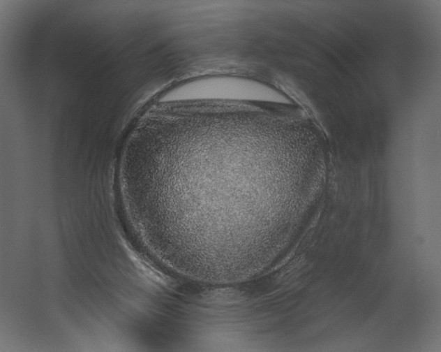 X0000067460058200604211551