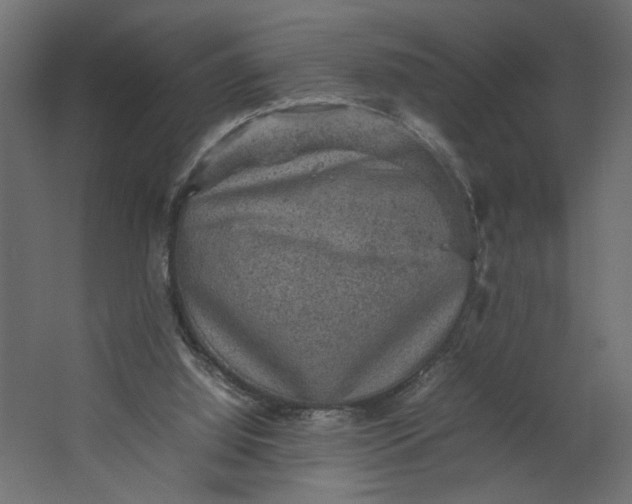 X0000067460060200604211551