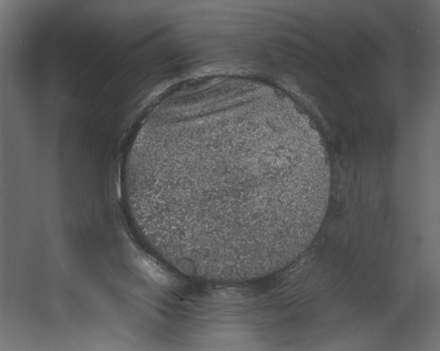 X0000067460062200604211552