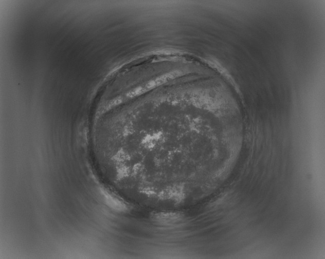 X0000067460063200604211552