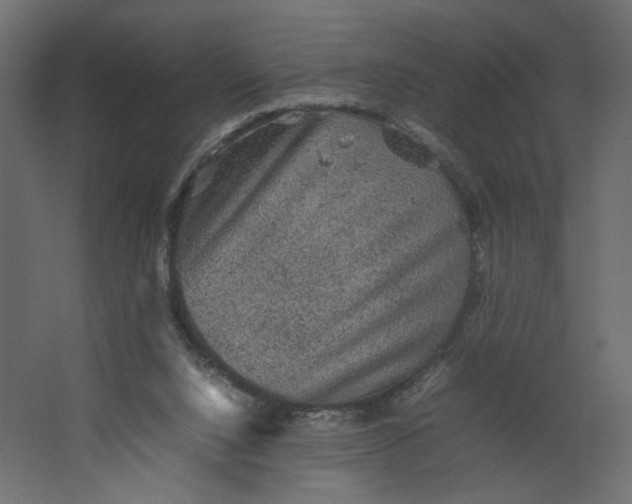 X0000067460064200604211552