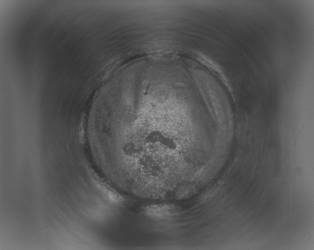 X0000067460065200604211552