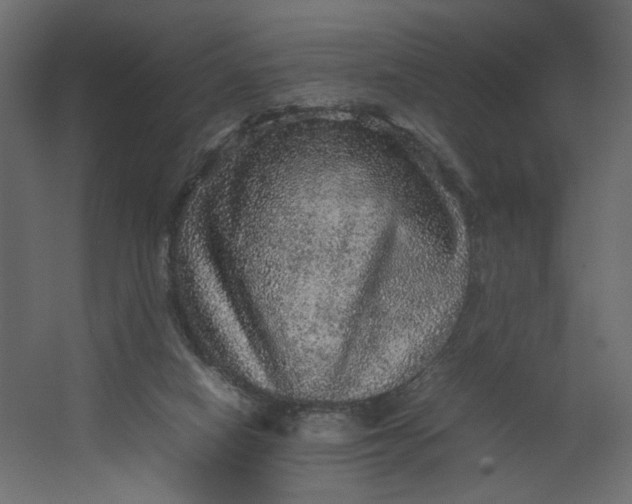 X0000067460066200604211552