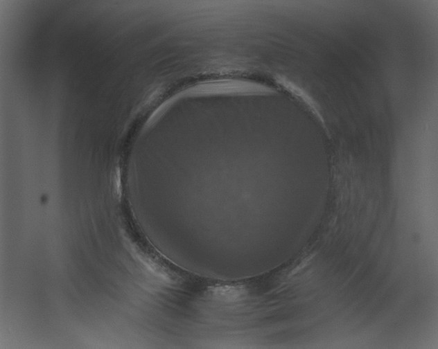 X0000067460067200604211552