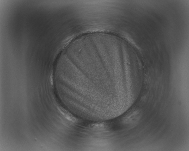 X0000067460068200604211552