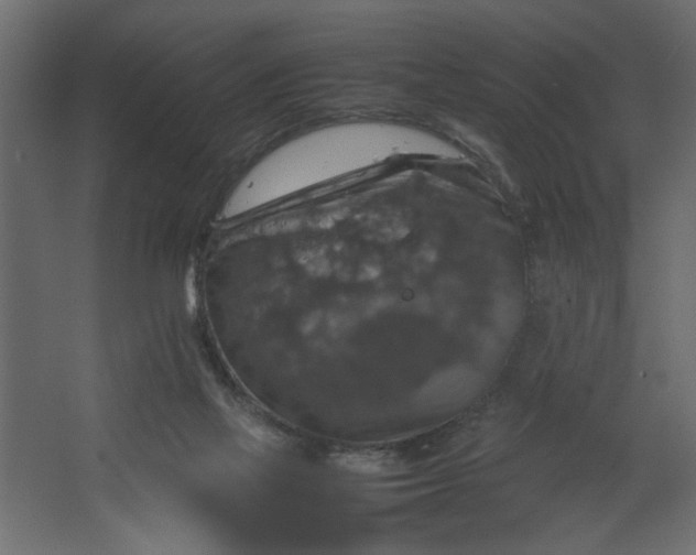 X0000067460069200604211552