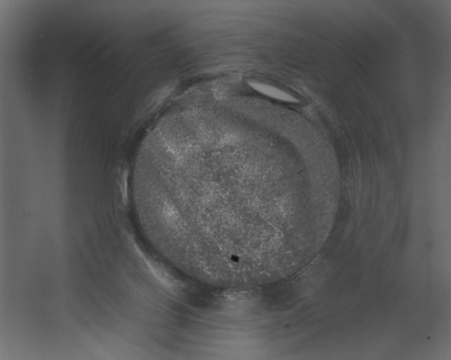 X0000067460070200604211552