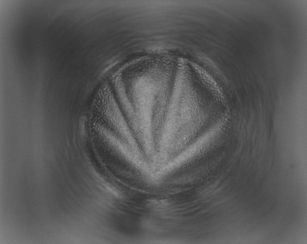 X0000067460071200604211552