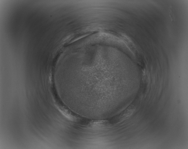 X0000067460072200604211552