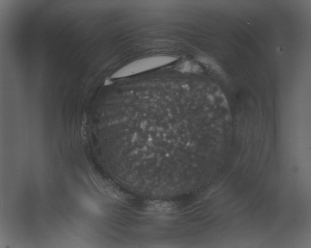 X0000067460073200604211552