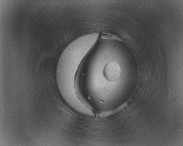 X0000067460077200604211552