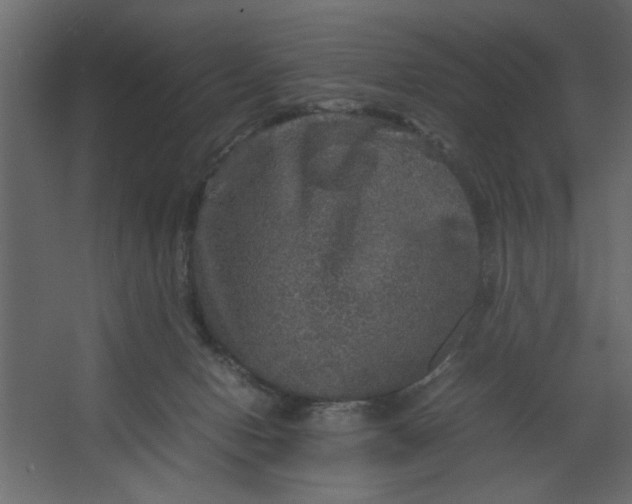 X0000067460078200604211552