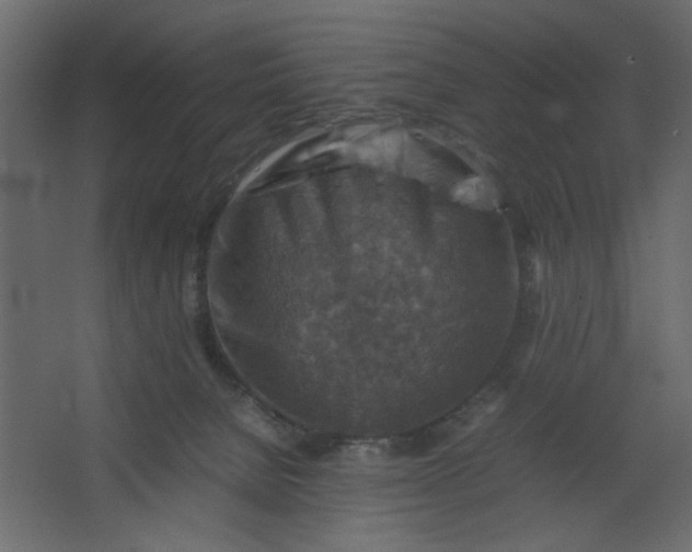 X0000067460080200604211552