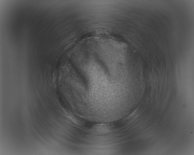 X0000067460082200604211552