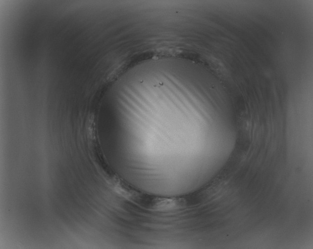 X0000067460083200604211552