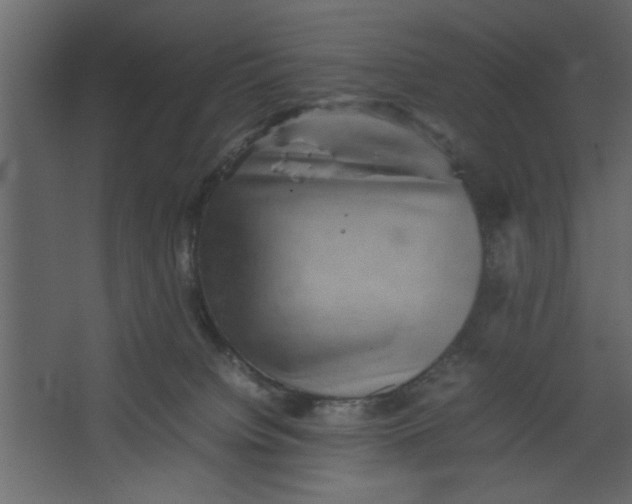 X0000067460084200604211552