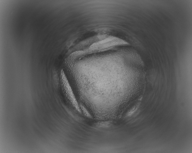 X0000067460086200604211552