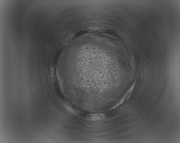 X0000067460087200604211552