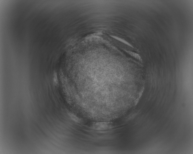 X0000067460089200604211552