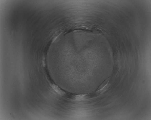 X0000067460090200604211552