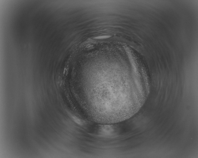 X0000067460091200604211552